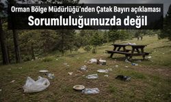 Çatak Bayırı orman alanı değil