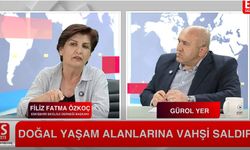 Doğa yok olursa gelecek de yok olur