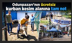 Ekonomik kriz kurban sayılarını yarıya düşürdü