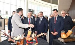 Eskişehir’in potansiyellerine bilimsel büyüteçle bakacağız