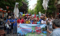 Eskişehir’in rengârenk festivali sona erdi