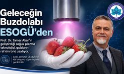 Eskişehirli profesörden devrim gibi buluş