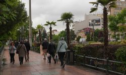 Köprübaşı palmiyelerle süslendi