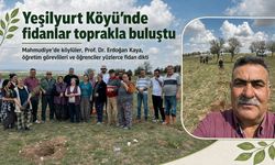 Yeşilyurt Köyü’nde fidan seferberliği
