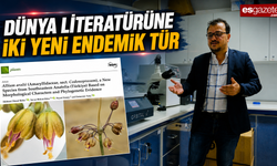 Anadolu’dan bilime iki yeni tür