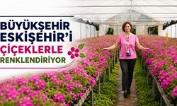 Büyükşehir kendi ürettiğiyle şehri donatıyor