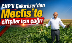 CHP’li Çakırözer’den Meclis’te çiftçiler için çağrı