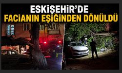Dut ağacı park halindeki araçların üzerine devrildi