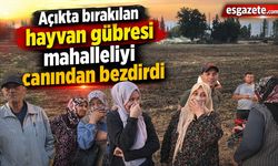 Hayvansal Gübre Kokusu Mahalleliyi İsyan Ettirdi