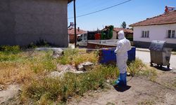 Kırsal mahallelerde de ilaçlama çalışmaları sürüyor
