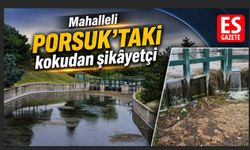 Porsuk’ta yosun ve çöp alarmı
