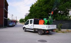 Tepebaşı’nda haşereye karşı etkin mücadele