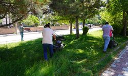Tepebaşı’nde park ve yeşil alanlarda çim biçme çalışmaları sürüyor