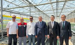 Eskişehir fide üretiminde merkez oluyor