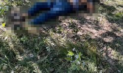 Eskişehir'de bir kişi ağaçlık alanda ölü bulundu