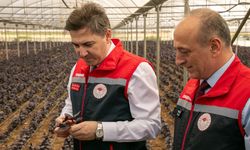 Bakan Yardımcısı Bağcı saha çalışmalarını inceledi