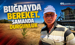 Buğdayda Bereket, Samanda Durgunluk