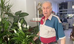 Direkt güneş ışığı çiçekler için zararlı