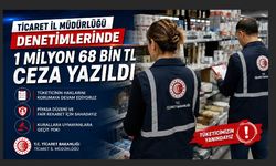 Eskişehir'de 202 firmaya sıkı denetim