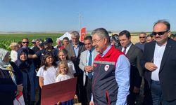 Eskişehir'de toplam 5 milyon 460 bin dekar alanda tarım yapılıyor