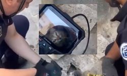 Gider borusundaki kediyi kurtarma operasyonu