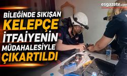 Hastanede kelepçe paniği!