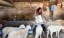 Kocası vahşice öldürülmüştü, şimdi O, çobanlık yaparak çocuklarına bakıyor