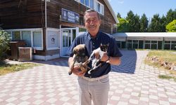 Tepebaşı’nda her can için şeffaf takip