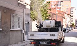 Tepebaşında sineğe sivrisineğe geçit yok