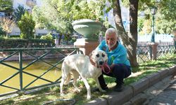 Tepebaşı’ndan uzanan şefkat, bir cana yuva oldu