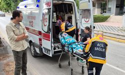 Yaya geçidinde anneanne ve torununa çarptı