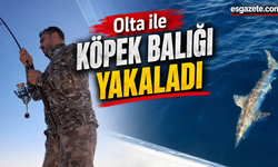 Oltasına Dev Camgöz Takıldı