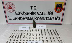 Araçtan Elmas, Heykel ve 194 Sikke Çıktı