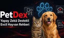 PetDex, Yapay Zekâ Destekli Evcil Hayvan Bilgi ve Hizmet Rehberini Büyütüyor
