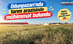 Odunpazarı'nda tarım arazisinde mühimmat bulundu