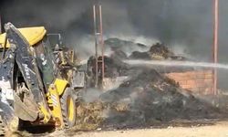 Eskişehir’de çiftlikte çıkan yangında 25 küçükbaş hayvan telef oldu