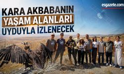 Eskişehir'de kara akbabalar nerede yaşıyor?