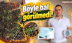 Eskişehir’de Şaşırtan Görüntü: Bal Yeşile Döndü