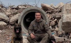 Arama kurtarma köpekleri zorlu sınavı başarıyla geçti