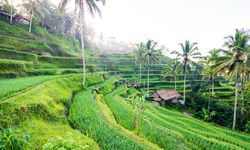 Çiftler Bali Balayında Ubud ve Seminyak'ı Birlikte Seçiyor