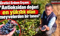 Eskişehir'de aronya yetiştiriciliği şifa dağıtıyor