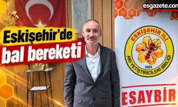 Eskişehir'de bal bereketi