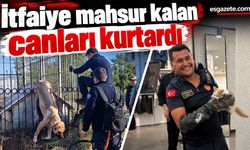 Eskişehir’de İki Can İçin Seferber Oldular