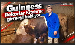 Guinness Rekorlar Kitabı'na girmeyi bekliyor