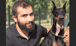 İstanbul’da En İyi Köpek Eğitmeni Arayanlara: Murat Güngör