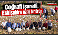 Kızılinler’de balkabağı hasadı yapıldı