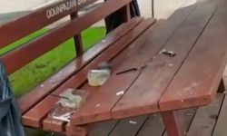 Parktaki vandallığı sosyal medyadan paylaştı