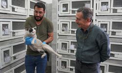 Yaşam hakkı, tüm canlılar için vazgeçilmezdir