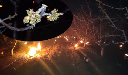 Eskişehir don tehlikesine karşı teyakkuzda