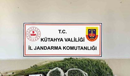 Kütahya’da uyuşturucu operasyonu